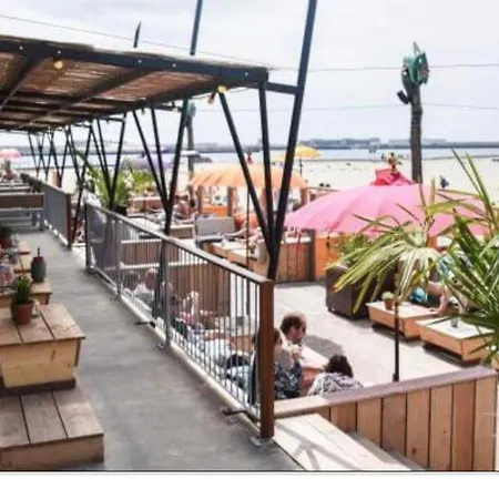 דירה Luxury Beachhouse Wijk Aan Zee 6 Guests Beach And Dunes *