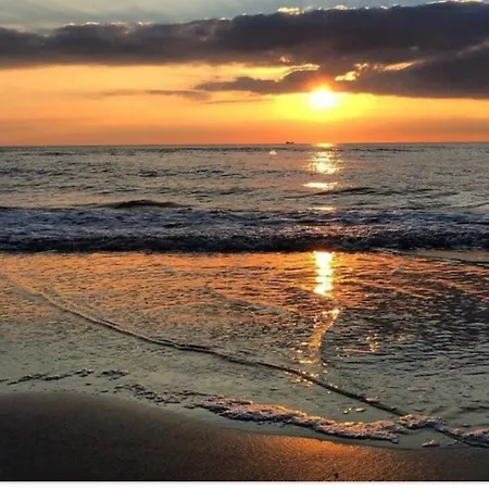 Luxury Beachhouse Wijk Aan Zee 6 Guests Beach And Dunes דירה וייק אן זיי