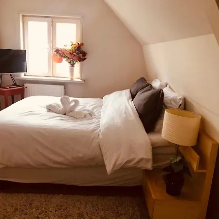 Beautiful House At Beach, Sea And Dunes Apartment Wijk aan Zee