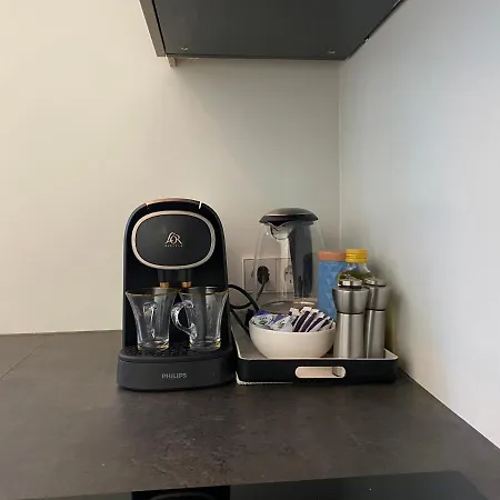 Luxury Beachhouse Wijk Aan Zee 6 Guests Beach And Dunes וייק אן זיי