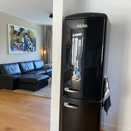 Luxury Beachhouse Wijk Aan Zee 6 Guests Beach And Dunes * Wijk aan Zee