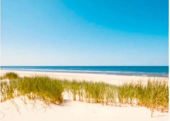 Beachhouse 6 Guests Near Free Parking