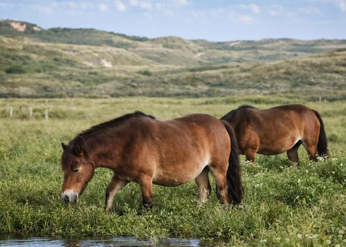 Apartment Beachhouse 6 Guests Near Free Parking Wijk aan Zee