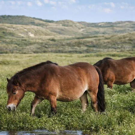 Apartman Beachhouse 6 Guests Near Free Parking Wijk aan Zee