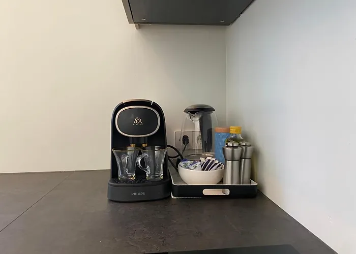 Beachhouse 6 Guests Near Free Parking Wijk aan Zee